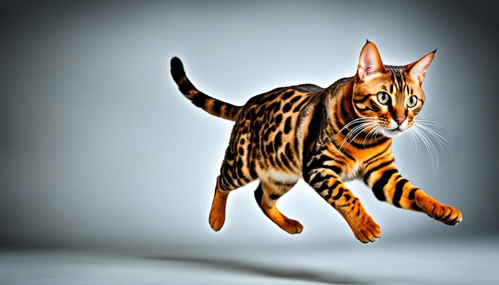 Aktivitätsniveau und Spielefreude einer Bengal-Katze